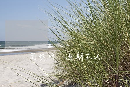 团贷网 逾期不还 团贷网 逾期不还